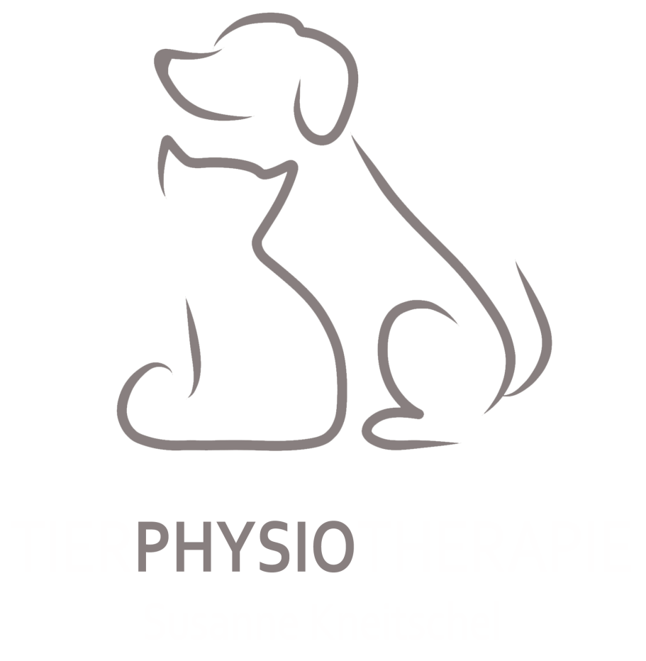 Tierphysio Pankow